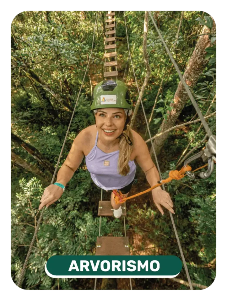 card_arvorismo (1)