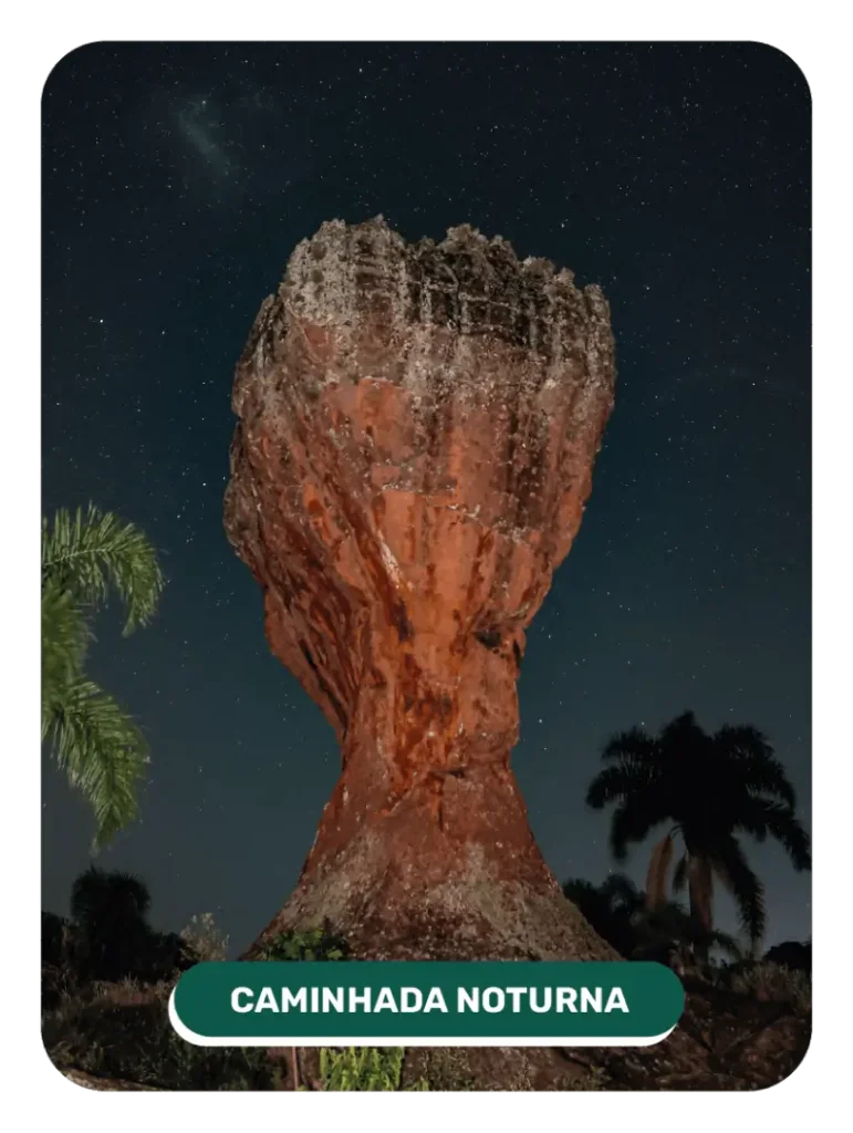 card_cainhada_noturna (1)