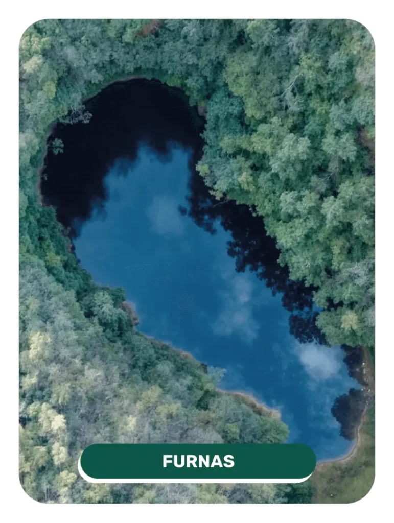 card_furnas (1)