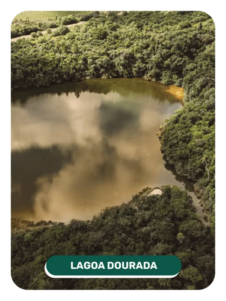 card_lagoa_dourada (1)