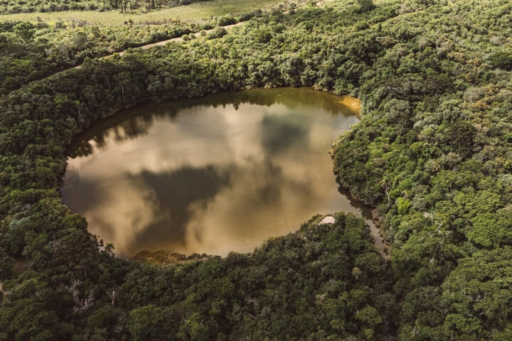 Lagoa Dourada | Aquário Natural do Parque Vila Velha