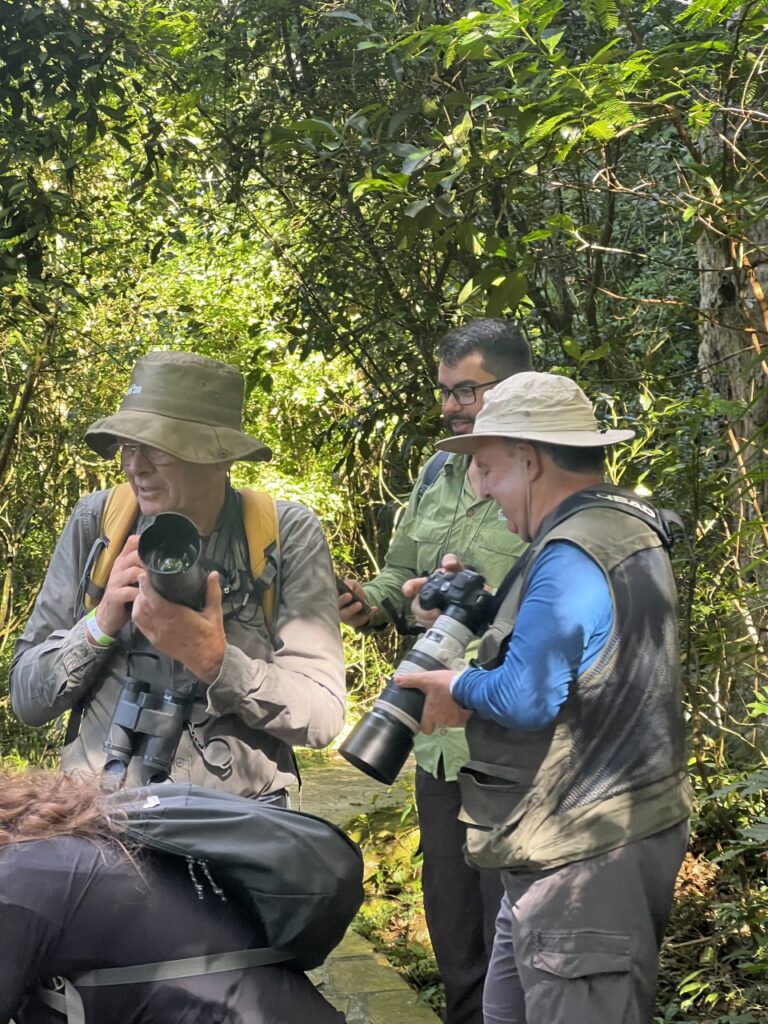 Birdwatching 04